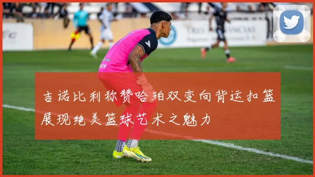 吉诺比利称赞哈珀双变向背运扣篮展现绝美篮球艺术之魅力