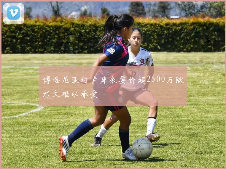 博洛尼亚对卢库米要价超2500万欧尤文难以承受